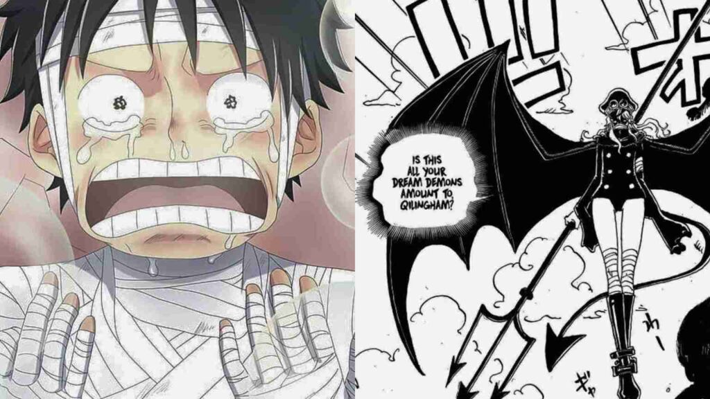 June 8th is Going to Be A Sad Day for One Piece Fans